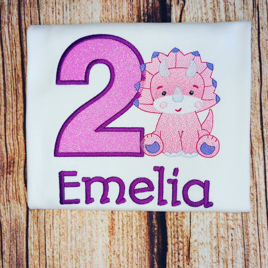 Childrens personalised birthday tshirt, kids embroidered dinosaur top, childs dino birthday shirt, personalised clothing, gift for children