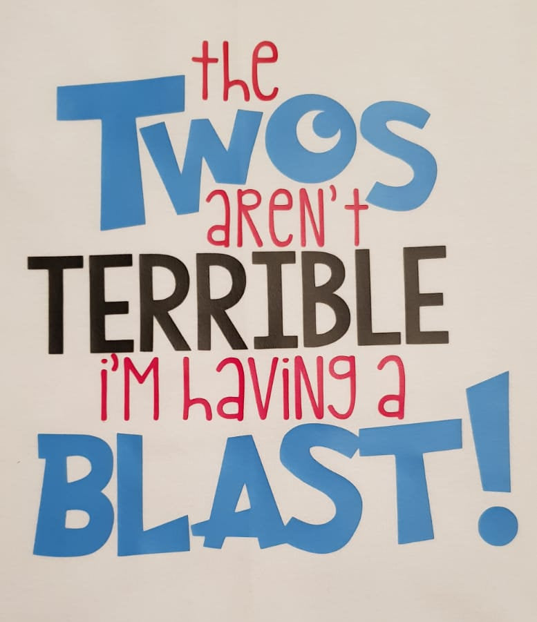 childrens slogan tshirt, 2 year old t-shirt, terrible twos