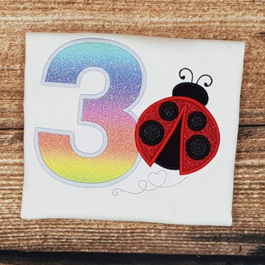 Childrens personalised birthday tshirt, Childs embroidered lady bird birthday shirt