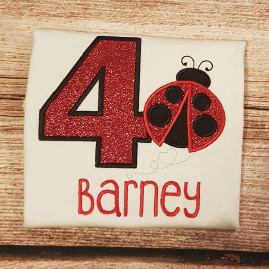 Childrens personalised birthday tshirt, childs embroidered Lady bird birthday shirt